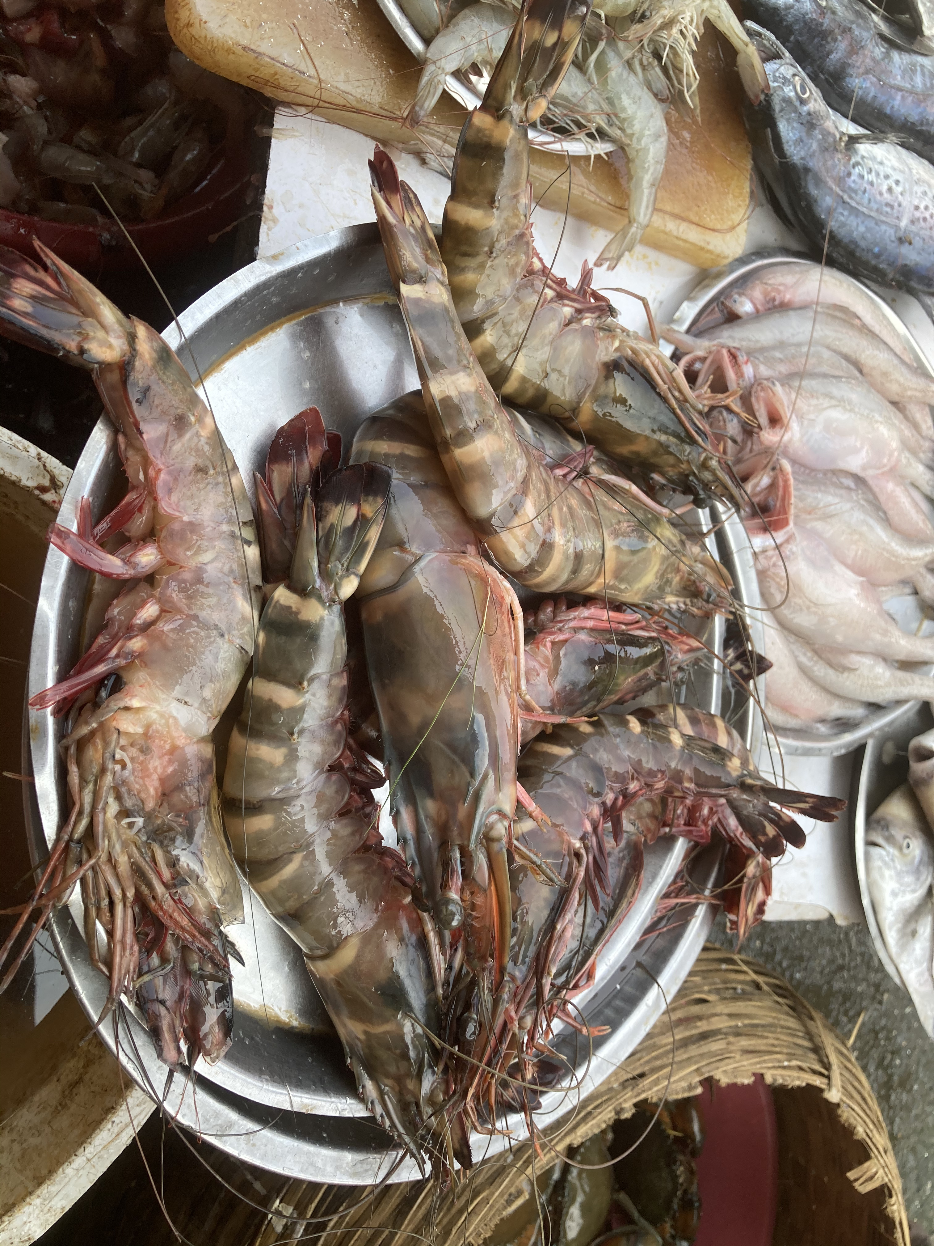 Tiger Prawns